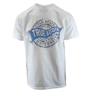 TSHIRT WOMENS OVERSIZED TRUE AGGIE PENNANT CIRCLE COMFORT WASH